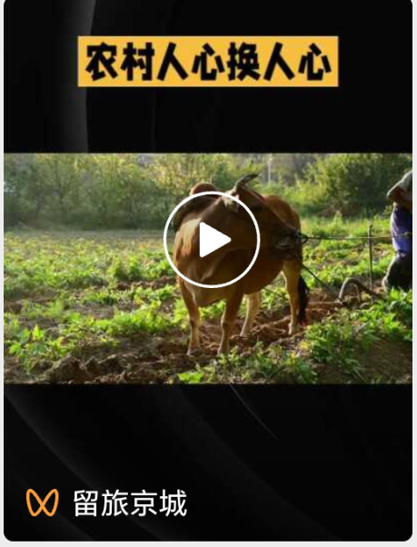 微信图片_20251102130946_123_17 (1).jpg