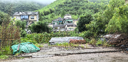 微信图片_20250626043341.jpg