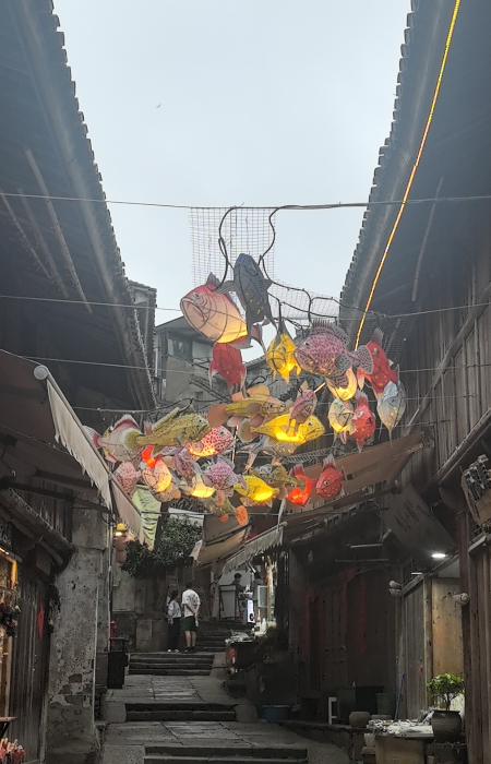 1761458817932331.jpg 微信图片_20251026133657_60_17.jpg