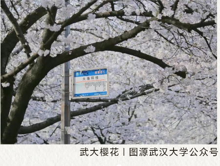 微信图片_20250327095457.jpg