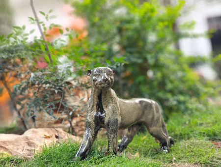 1762696841763515.jpg 1762384368828402.jpg