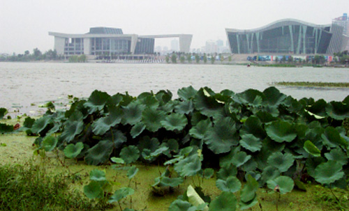 图片2.jpg月湖.jpg