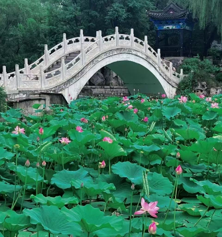 微信图片_20250625115703.jpg