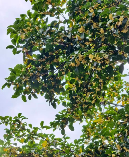 微信图片_20251012060628.jpg