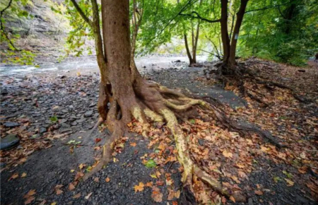 1763908892629315.jpg 微信图片_20251123221856_258_17.jpg