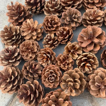 1769498379327778.jpg u=1855643861,1572729985&fm=253&a (1).jpg