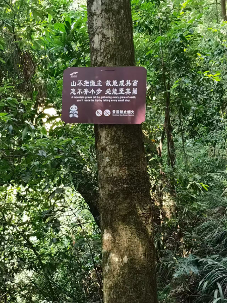 fa54e11941331b5d4c91ddac86b7c276.jpg