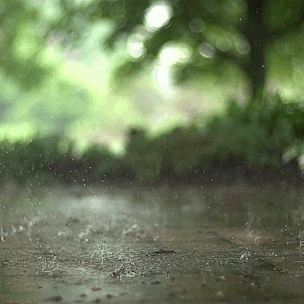 1771832014803349.gif t015cf69640a70c7f1c.gif