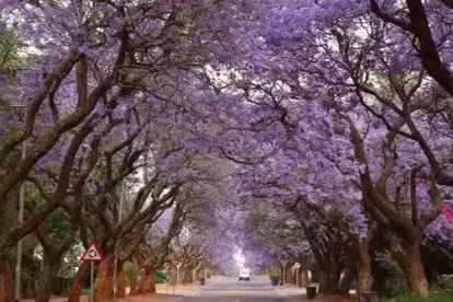 1775773020337872.jpg 微信图片_20260410055506_105_3.jpg